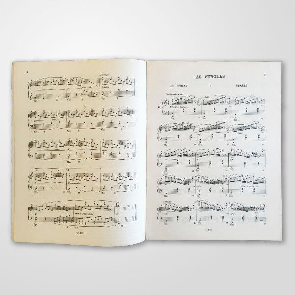18 Estudos de Gênero, op. 109