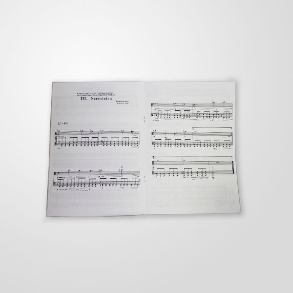 Cinco pequenas peças para duas violas