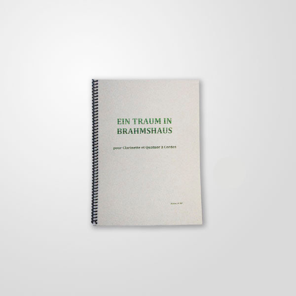 Ein Traum in Brahmshaus