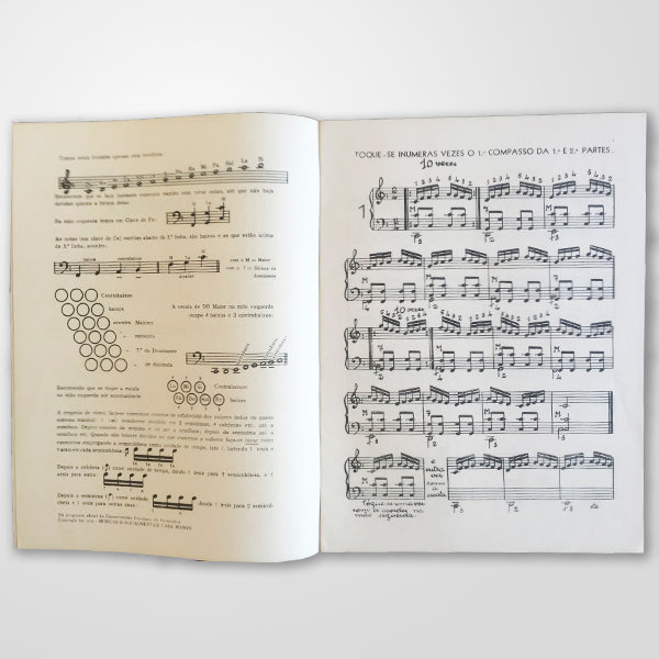 O Pequeno Virtuoso da Harmônica